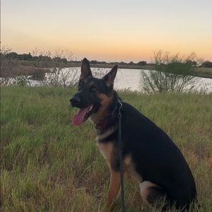 Meet your Posher, Daniela